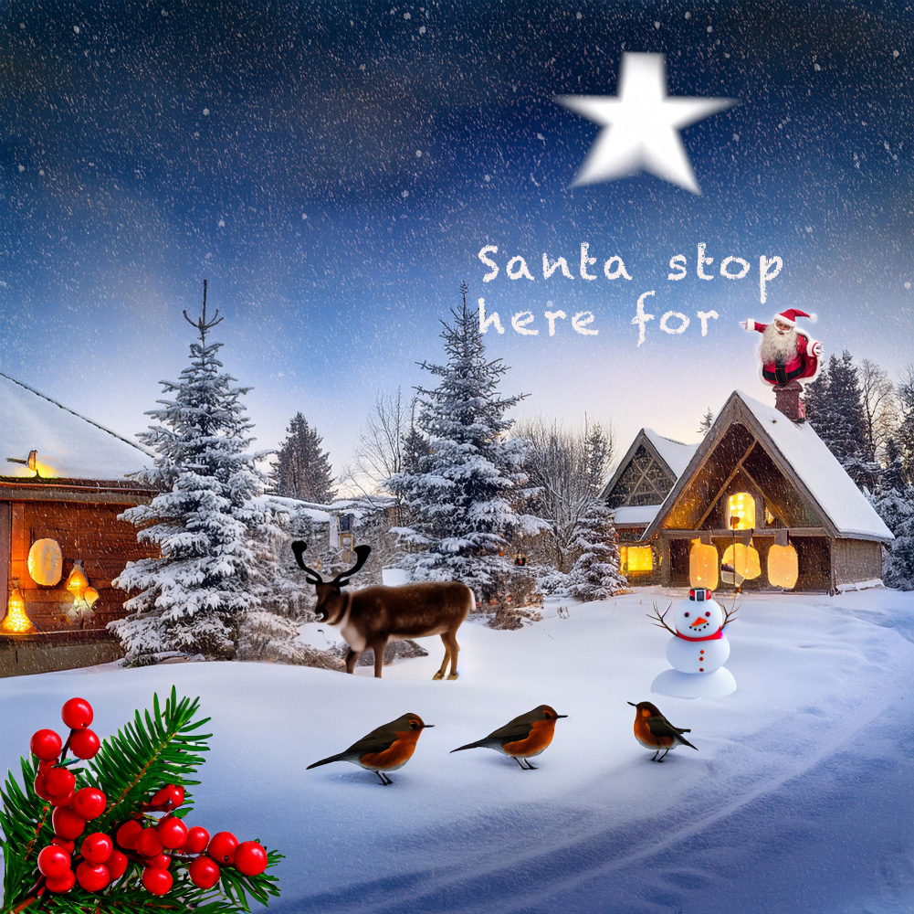 padraic wquirkey flowers